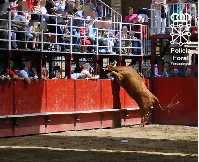 Espectáculo taurino en Murchante