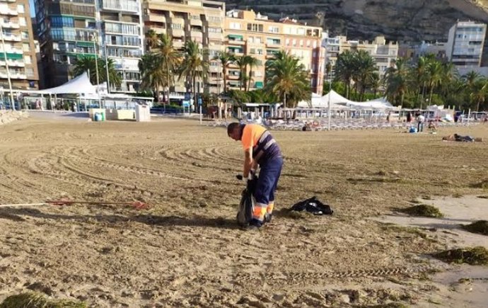 Un operario trabaja en la recuperación de la playa de Alicante tras el temporal