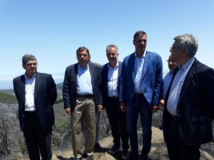 El presidente del Gobierno en funciones, Pedro Sánchez (4i), el ministro de Agricultura en funciones, Luis Planas (2i) y el presidente de Canarias, Ángel Victor Torres, durante la visita a la zona del incendio de Gran Canaria