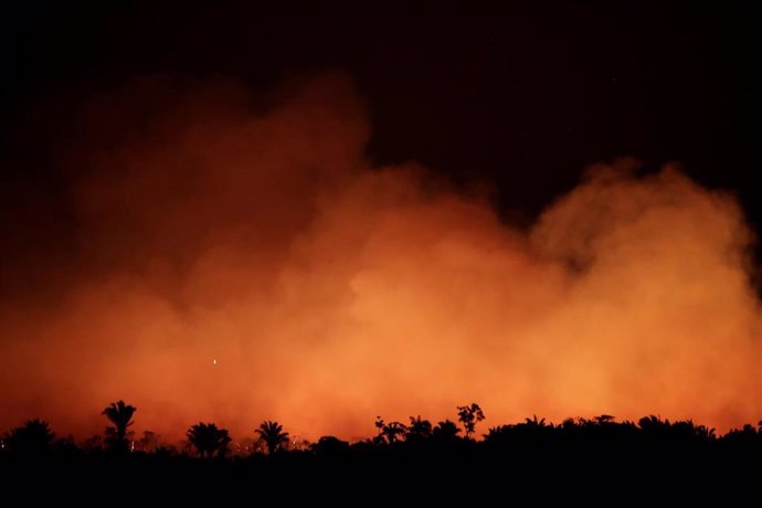 Incendio forestal en la selva del Amazonas