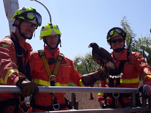 Bomberos junto al halcón rescatado