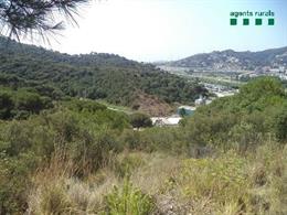 Incendios.- Identificado el autor de un incendio forestal en Santa Coloma de Gra