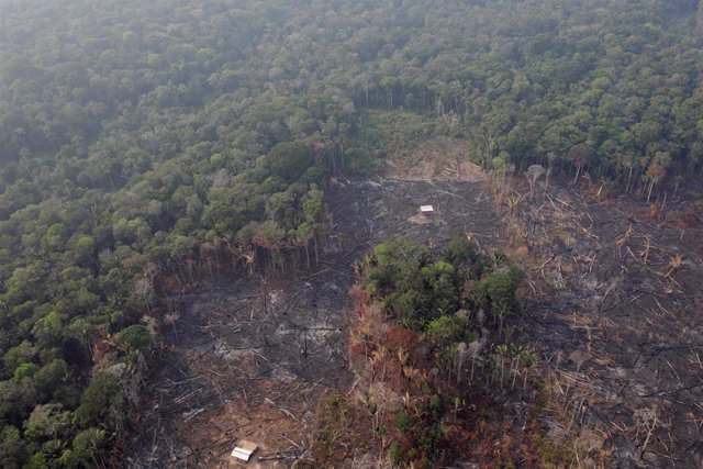 Vista aérea de una zona deforestada en el Amazonas