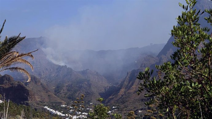 Parte de la zona afectada por el incendio de la isla de Gran Canaria