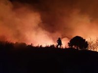 Extinguido el incendio declarado el lunes en Estepona (Málaga)