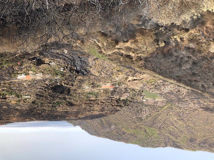 Zona afectada por el incendio de Gran Canaria cerca de Risco Caído