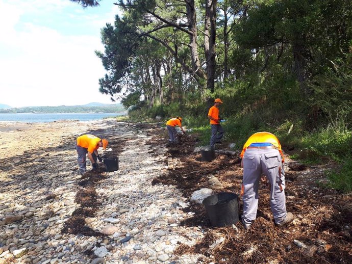 Descienden en un 85% las colillas depositadas en los arenales de las illas Cíes tras las campañas de concienciación