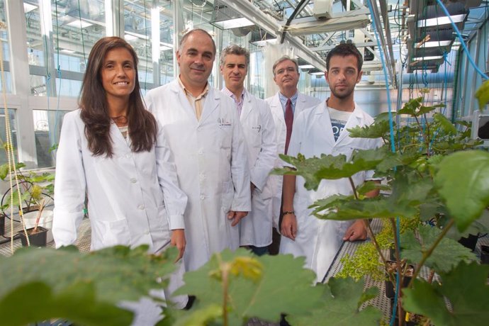 Científicos De La Universidad De Navarra Desarrollan Una Tecnología Para Fabricar Nuevos Fertilizantes