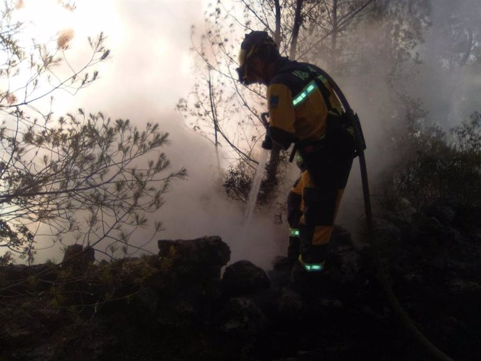 Un agente realiza tareas de extinción de un incendio declarado en Son Quint, Esporlas.