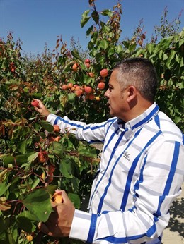 El diputado del Grupo Parlamentario del Partido Popular, Jesús Cano, visita una plantación