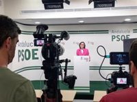 PSOE-A pregunta a la Junta "por qué no ha denunciado también ante la Fiscalía" a Magrudis y lamenta la "opacidad"