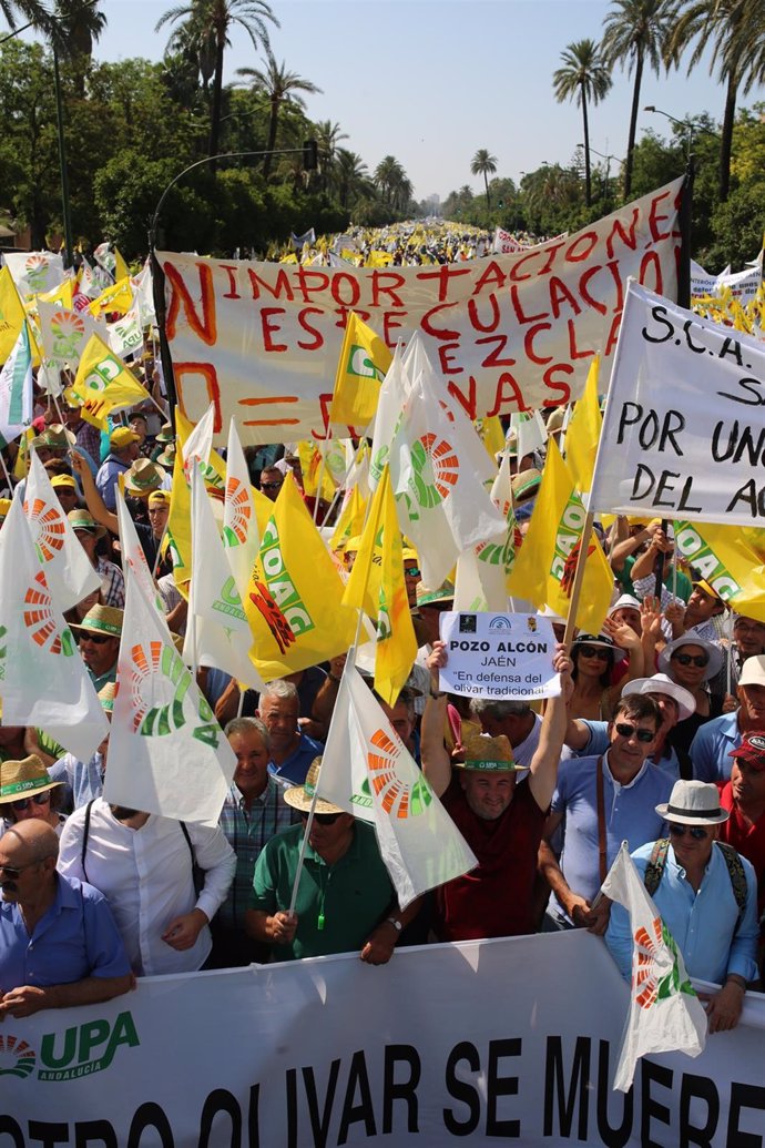 Manifestación del pasado julio en Sevilla por la crisis de precios en origen del aceite de oliva.