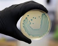 Magrudis desconoce cuál es el foco del brote de listeriosis pero reconoce contaminación en una mechadora