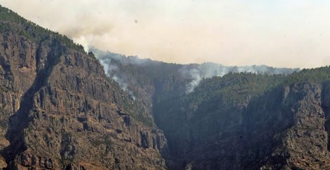 Cooperación y Desarrollo