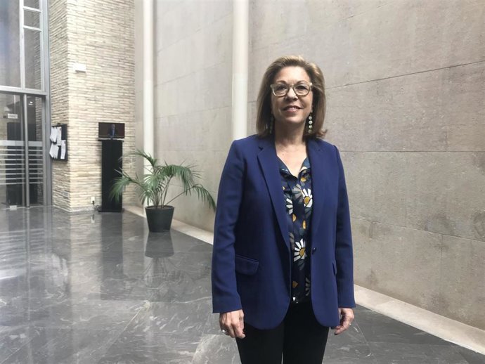 La consejera de Sanidad, Pilar Ventura