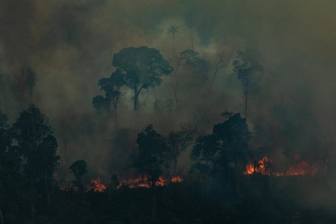 Fuegos en la selva del Amazonas