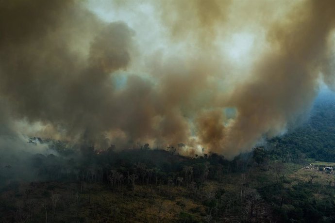 Incendio en el Amazonas brasileño