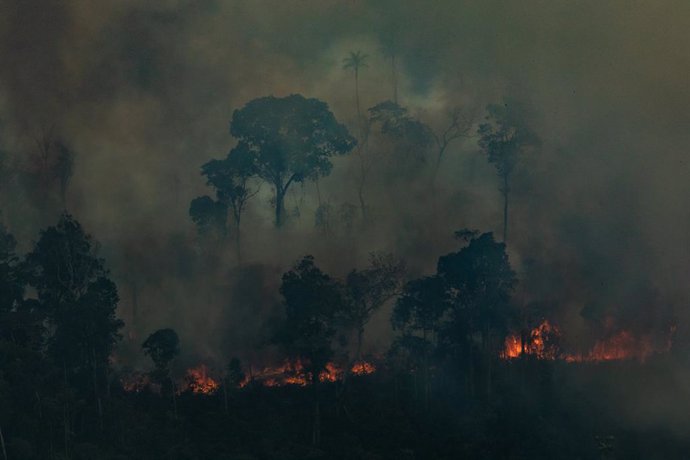 Focs en la selva de l'Amazones