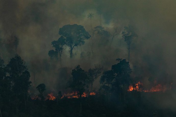 Focs en la selva de l'Amazones