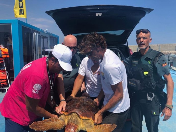 Almería.-Auxilian a un ejemplar de tortuga boba atrapada en una red y en desecho
