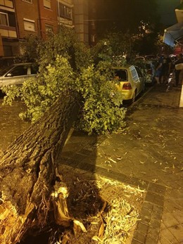 Caída de un árbol tras una fuerte tormenta en la localidad de Leganés.