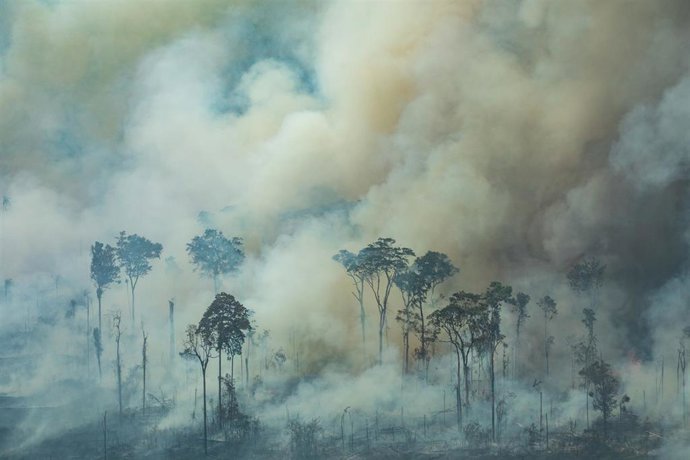 HANDOUT - 24 August 2019, Brazil, Rondonia: Smoke rises from the forest during a fire near the town of Caneiras do Jamari in Rondonia. The Brazilian government began deploying troops to help fight wildfires in Brazil's Amazon region. Photo: Victor Moriy