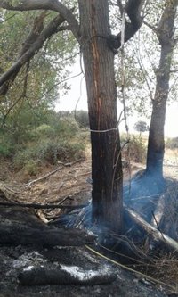 El 112 de C-LM atendió 269 incidentes por las lluvias y el Infocam intervino en varias caídas de rayos