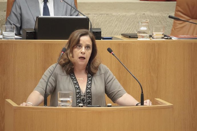 La diputada de IU en La Rioja, Henar Moreno Martínez, durante su intervención en la segunda sesión del debate de investidura de la candidata socialista, Concha Andreu, a la Presidencia de La Rioja.