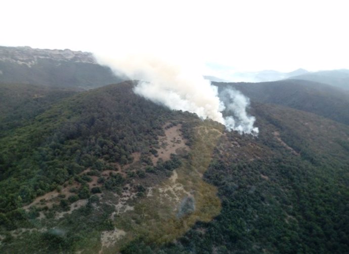 Incendio forestal en Valdegovia (Álava), en el Parque Natural Valderejo,  colindante con el Valle de Tobalina.