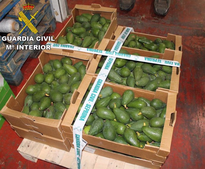 Aguacates incautados