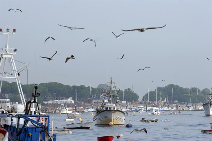 La Junta amplía hasta el 20 de septiembre la solicitud de ayudas a las Estrategi