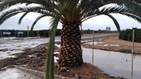 Murcia y Fuente Álamo, los municipios donde ha caído la mayor cantidad de precipitaciones con más de 30 mm