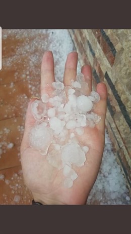 Alicante.- El pedrisco daña algunos campos en La Matanza de Orihuela, Rafal, Cal