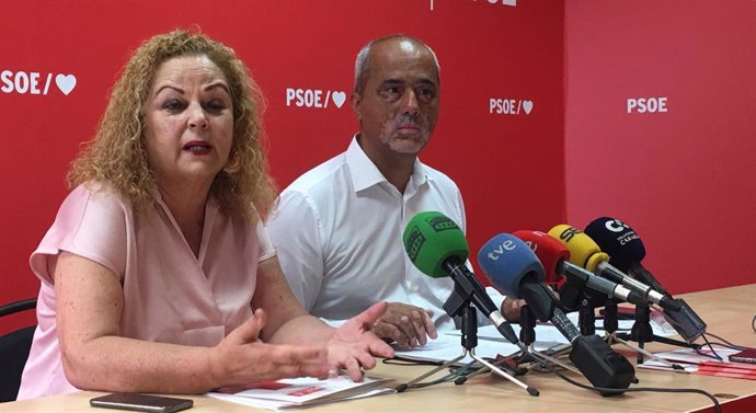 Senadores canarios del PSOE Nina Santana y Ramón Morales