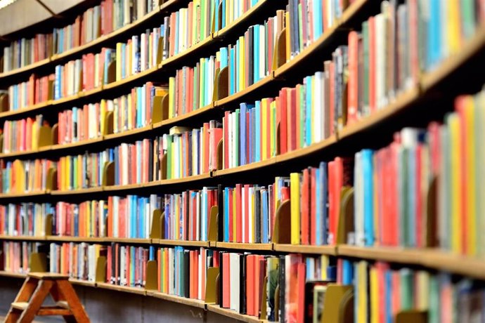 La red de bibliotecas públicas vascas prestaron 2.623.361 libros papel y 57.189 libros en formato digital durante 2018
