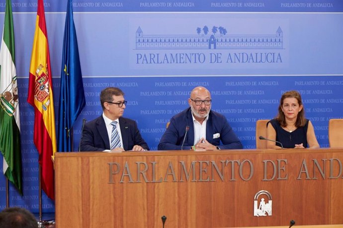 El portavoz parlamentario de Vox en Andalucía, Alejandro Hernández, acompañado por el parlamentario por Málaga Eugenio Moltó y la parlamentaria por Sevilla y portavoz de Vox en la Comisión de Salud y Familias, María José Piñero