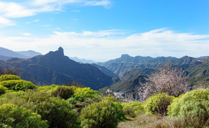 Incendio en Gran Canaria.