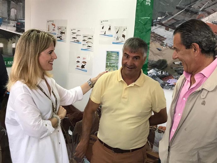 Cádiz.-La Junta desarrolla actuaciones de mejora en el Puerto de Bonanza de Sanl