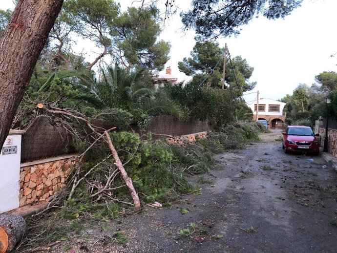 Una calle de Santanyí afectada por caída de ramas debido a la tormenta.