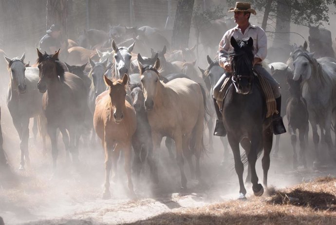 Huelva.- El alcalde de Hinojos defiende "la solución" ofrecida a los ganaderos p