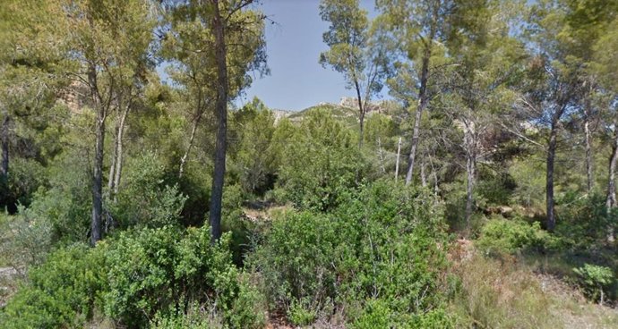 Parque Natural del Montgó