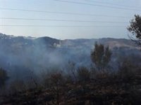 Controlado el incendio declarado este pasado jueves en Marbella