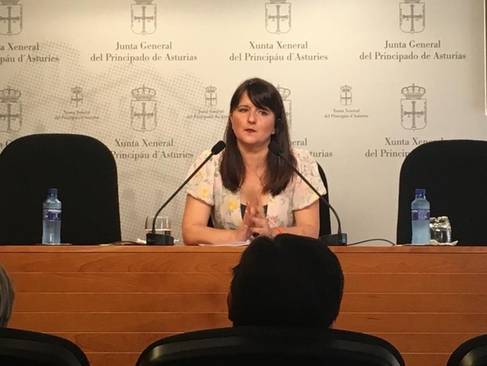 La portavoz de Ciudadanos en la Junta General, Laura Pérez Macho