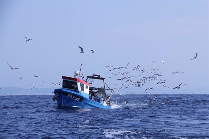 El Ministerio de Agricultura refuerza sus equipos técnicos y humanos para combatir la pesca ilegal