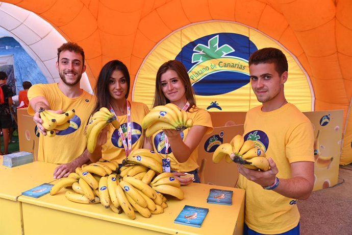 Plátano de Canarias, fruta oficial de La Vuelta a España 2019