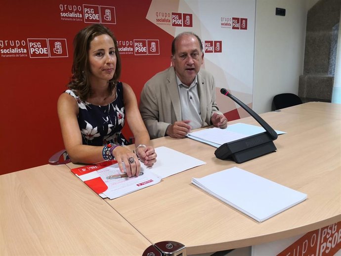 El portavoz parlamentario del PSdeG, Xoaquín Fernández Leiceaga, en rueda de prensa.