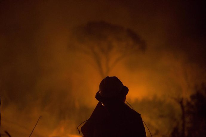 Bombero lucha contra las llamas en la Amazonia boliviana
