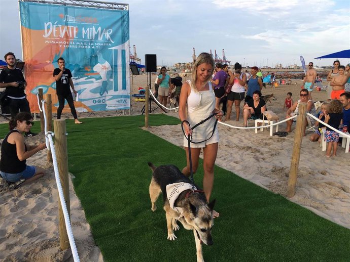 I Pasarela Canina A Favor De La SVPAP