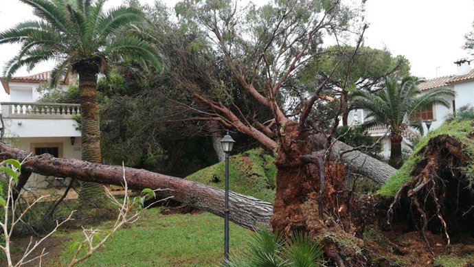 Desperfectos tras la tormenta en Santanyí.