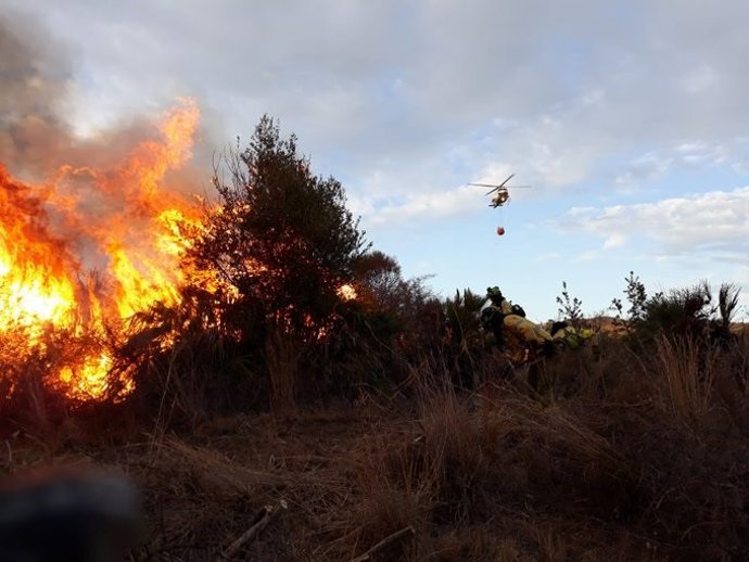 Labores de extinción del fuego en Marbella